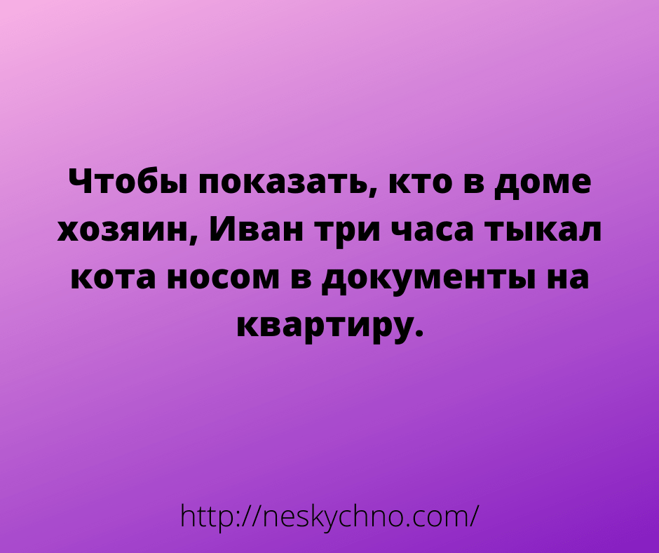 Анекдот про вопросы