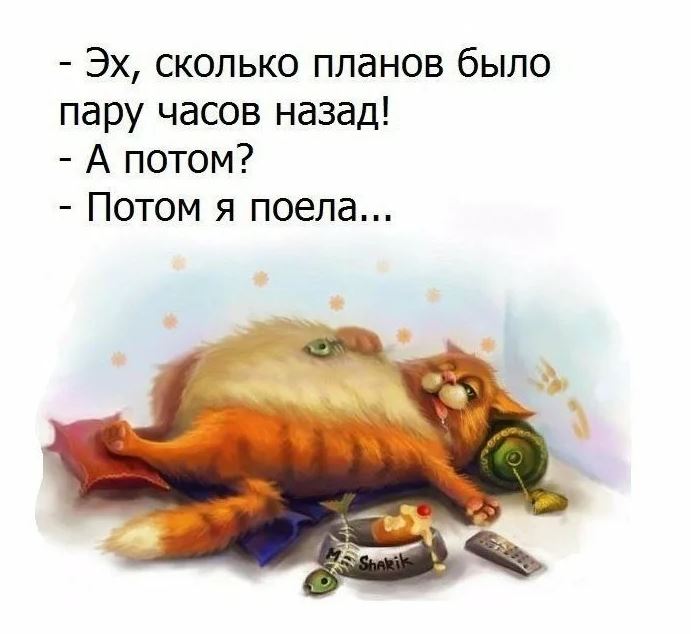 Анекдот про пролонгацию