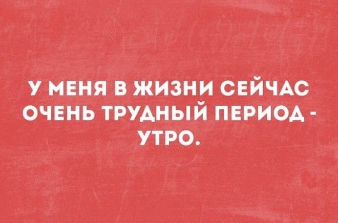 Анекдот про Светку