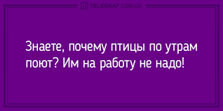 Анекдот про Дашу