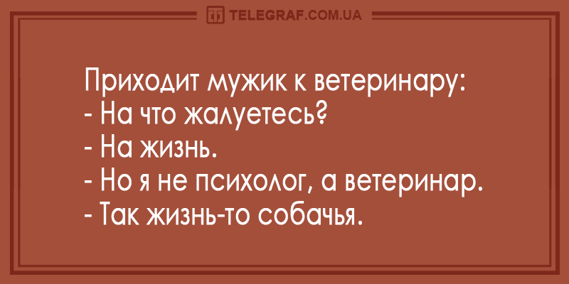 Анекдот про осуществление