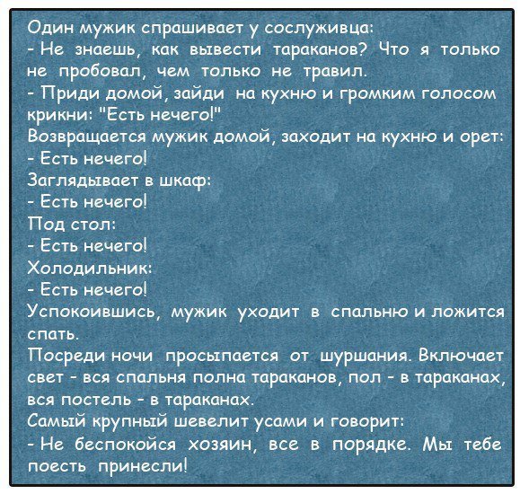 Анекдоты дня