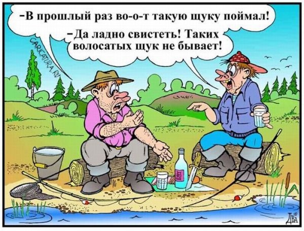 Лучшие анекдоты прошедшего лета!