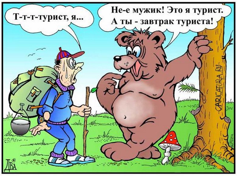 Решил, значит, мужик медведя проучить на рыбалке...