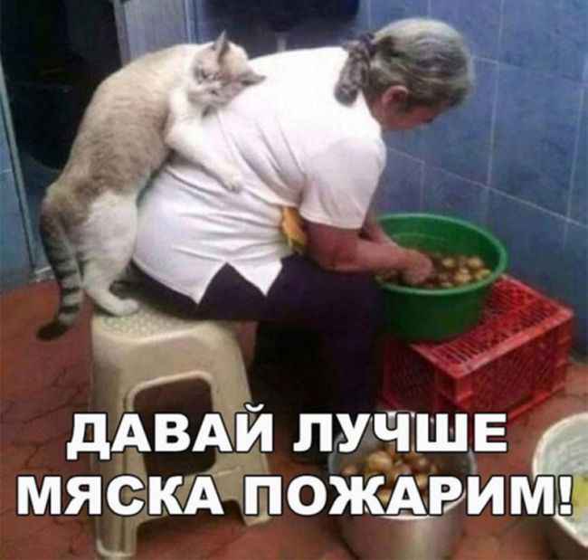 Я устала смеяться))