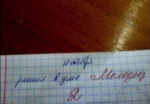 10 перлов из школьных тетрадей