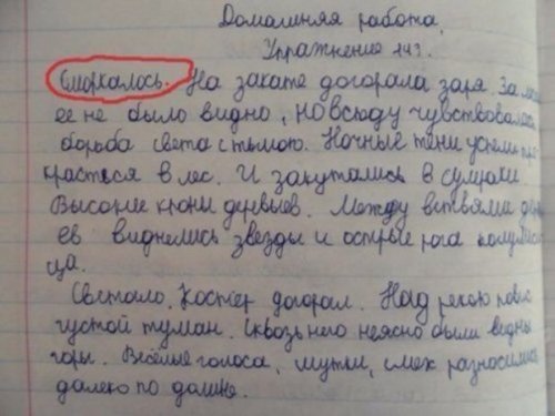 10 перлов из школьных тетрадей