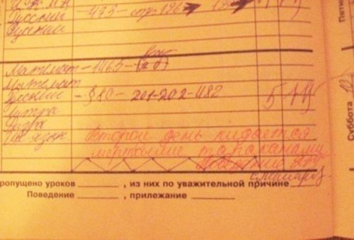 10 перлов из школьных тетрадей