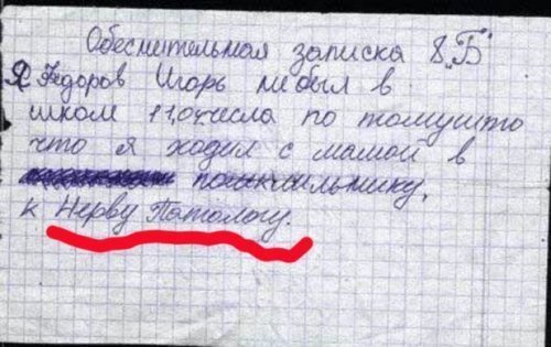 10 перлов из школьных тетрадей