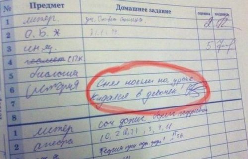 10 перлов из школьных тетрадей