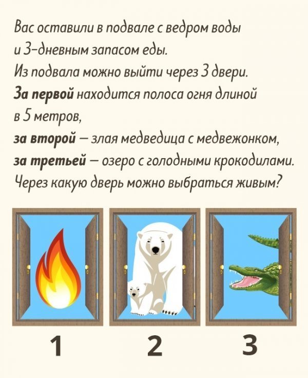 5 загадок, которые сможет отгадать не каждый
