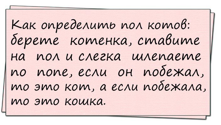 Анекдоты дня