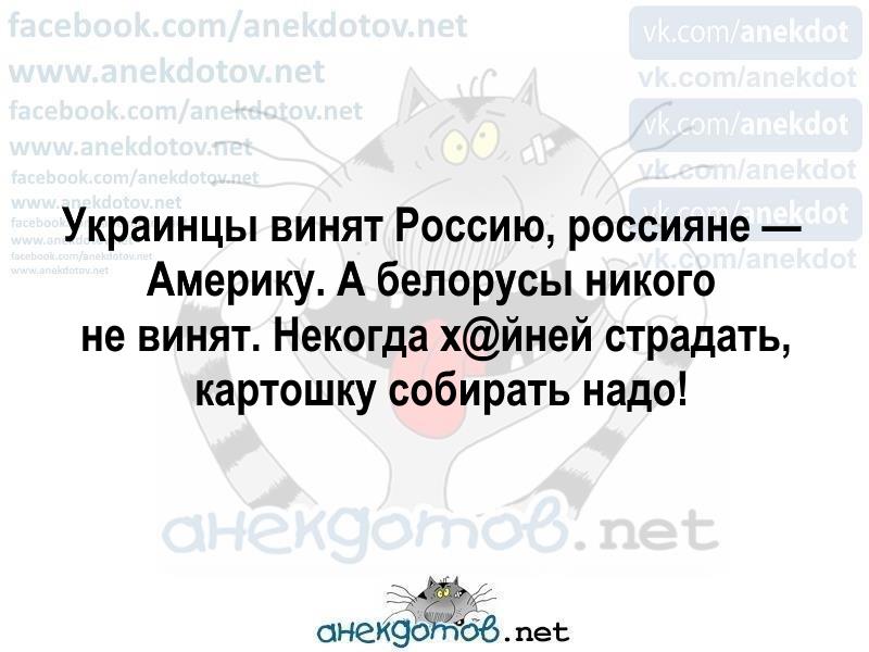 Подборка искрометного юмора