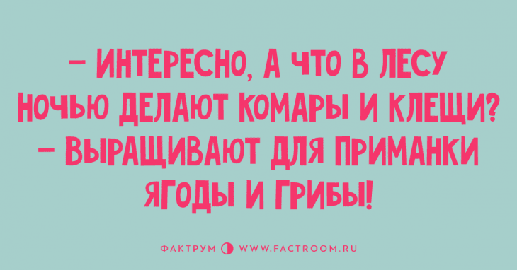 Кажется, жена спалилась....
