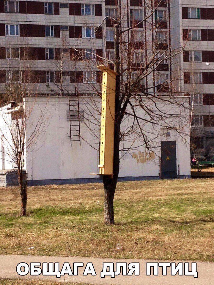 Убойный юмор!