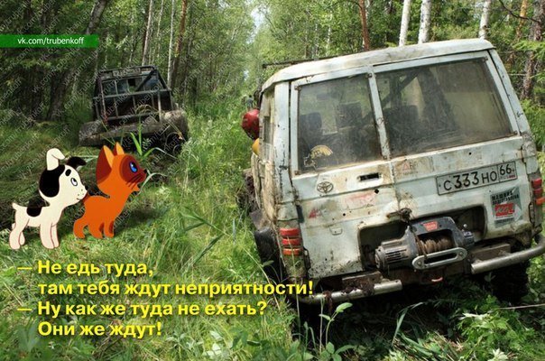 Лучшие анекдоты дня