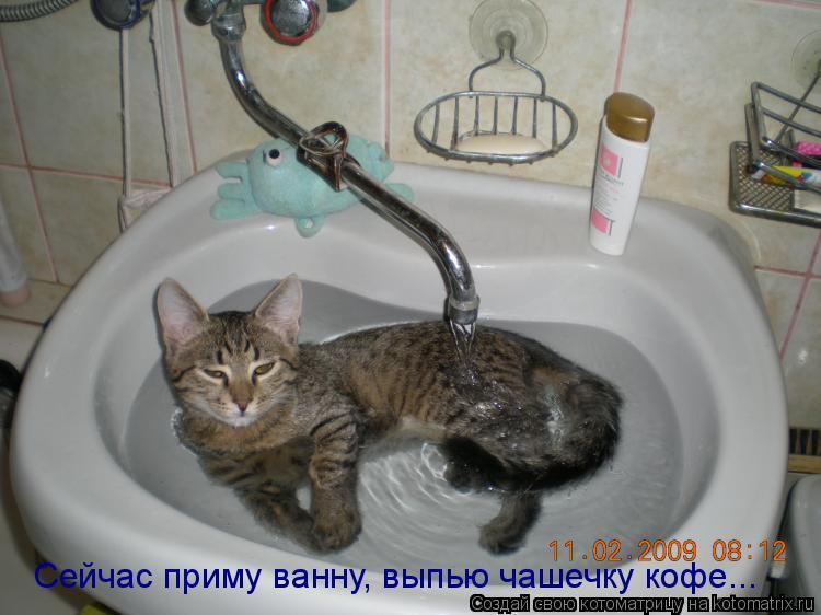 Смешная история про полосатого добытчика))