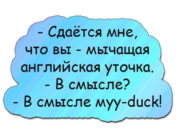 Лучшие анекдоты
