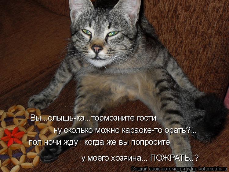 Я хохотала полтора часа!