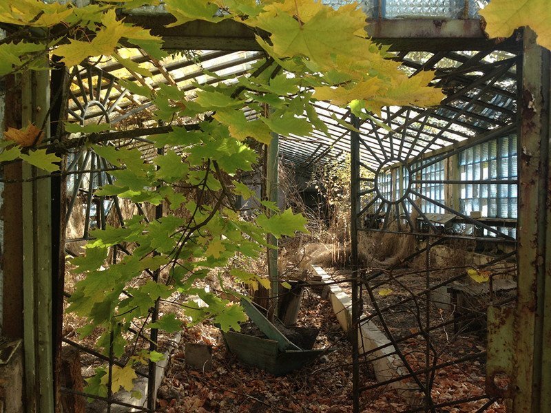Фотографии, сделанные сталкерами, которые нелегально заночевали в Чернобыле