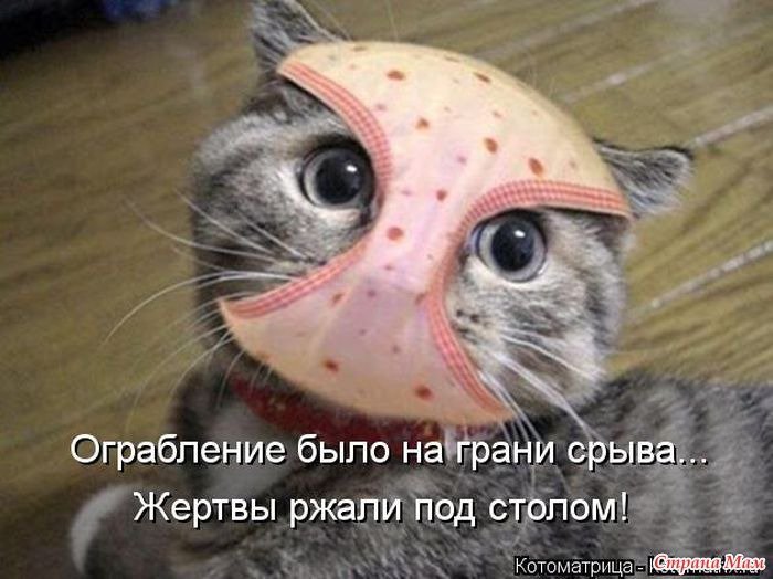 По-настоящему смешные анекдоты