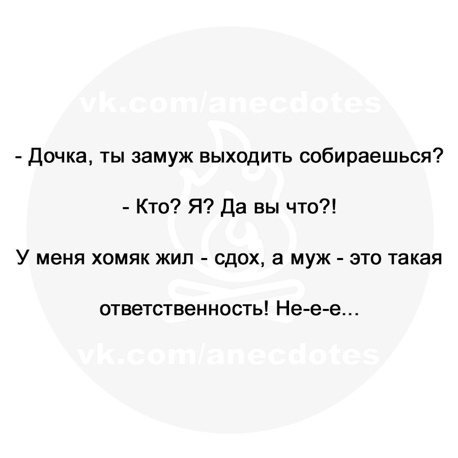Анекдоты дня