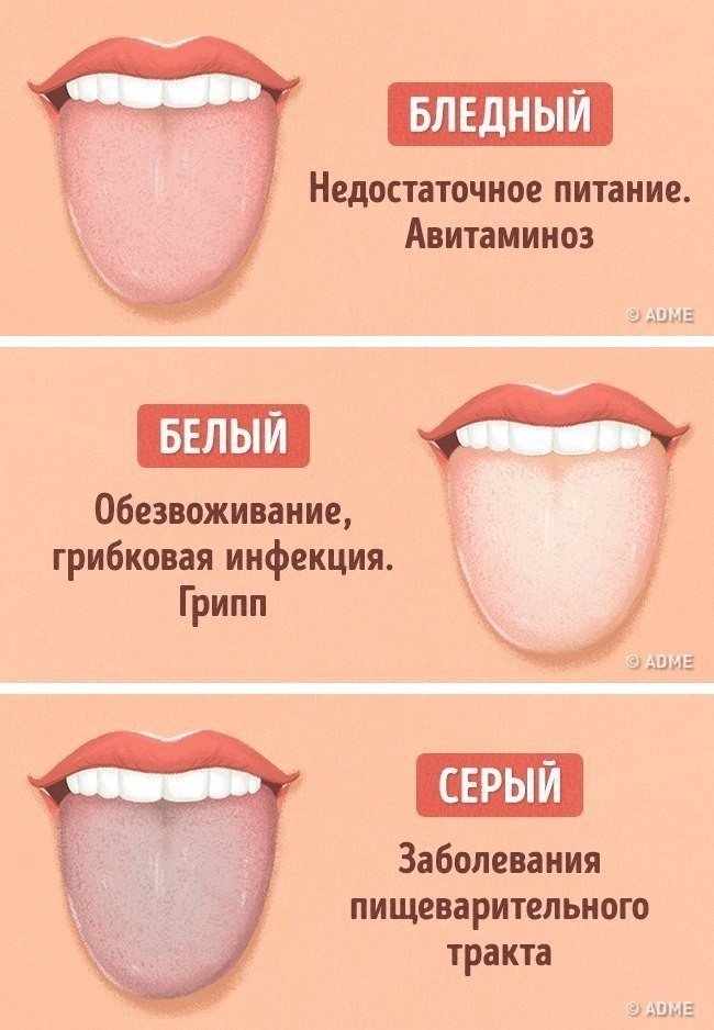 О чём может рассказать цвет нашего языка