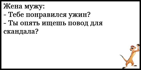 Анекдот про тещу и зятя