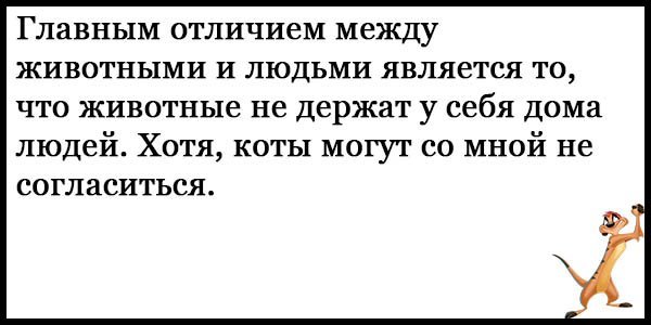 Анекдот про тещу и зятя