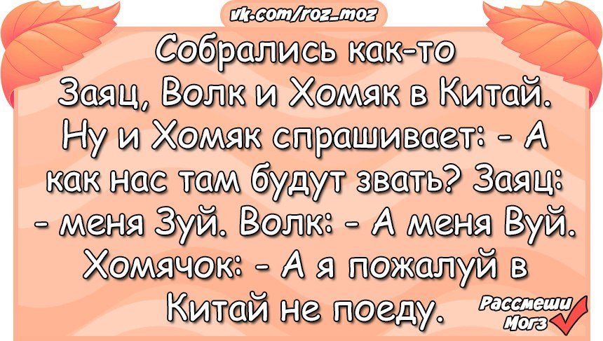 Анекдоты дня