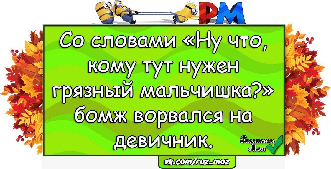 Анекдоты дня