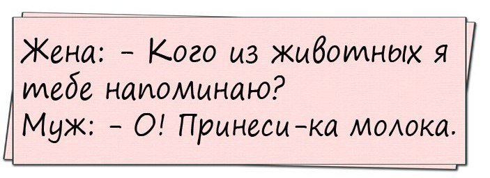 Топ анекдотов дня