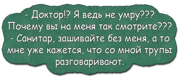 Анекдоты дня
