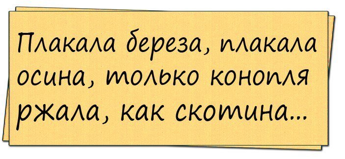 Анекдоты дня