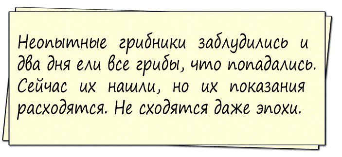 Анекдоты дня