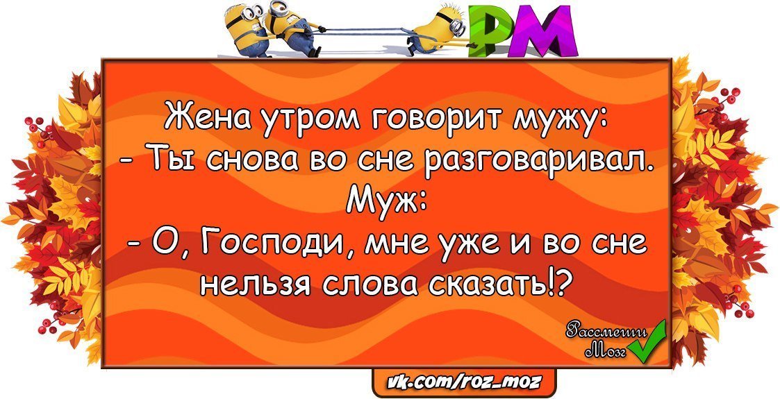 Юмор, от которого повышается настроение