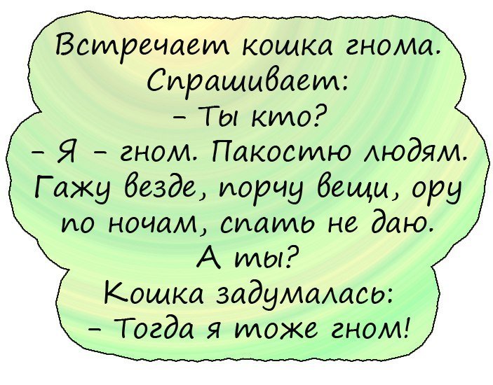 Топ анекдотов дня