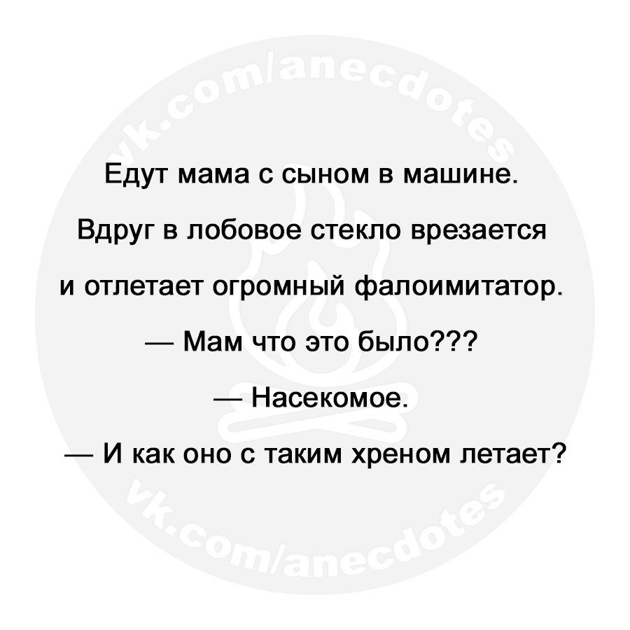 Анекдоты дня