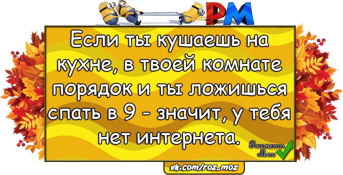 Анекдоты дня