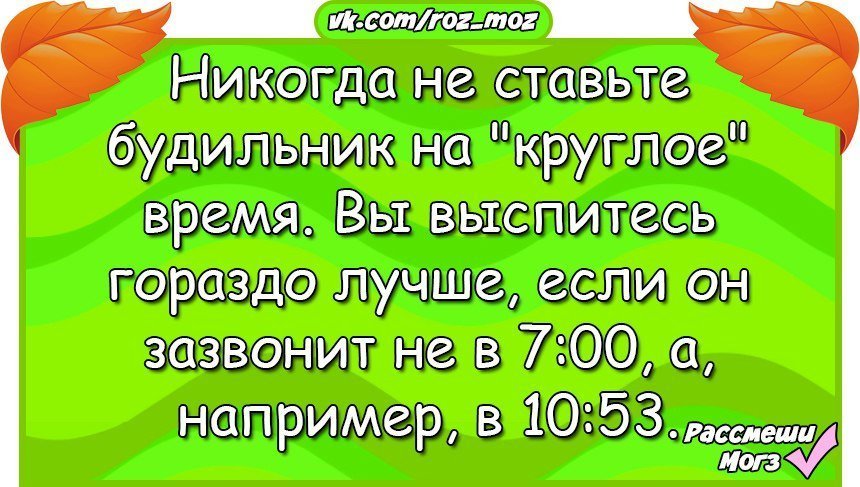 Анекдоты дня