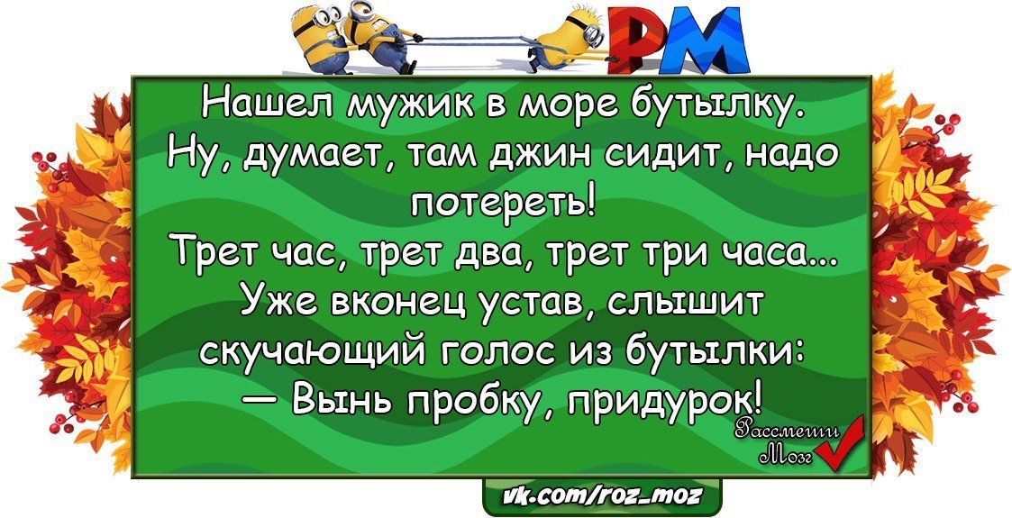 Анекдоты дня