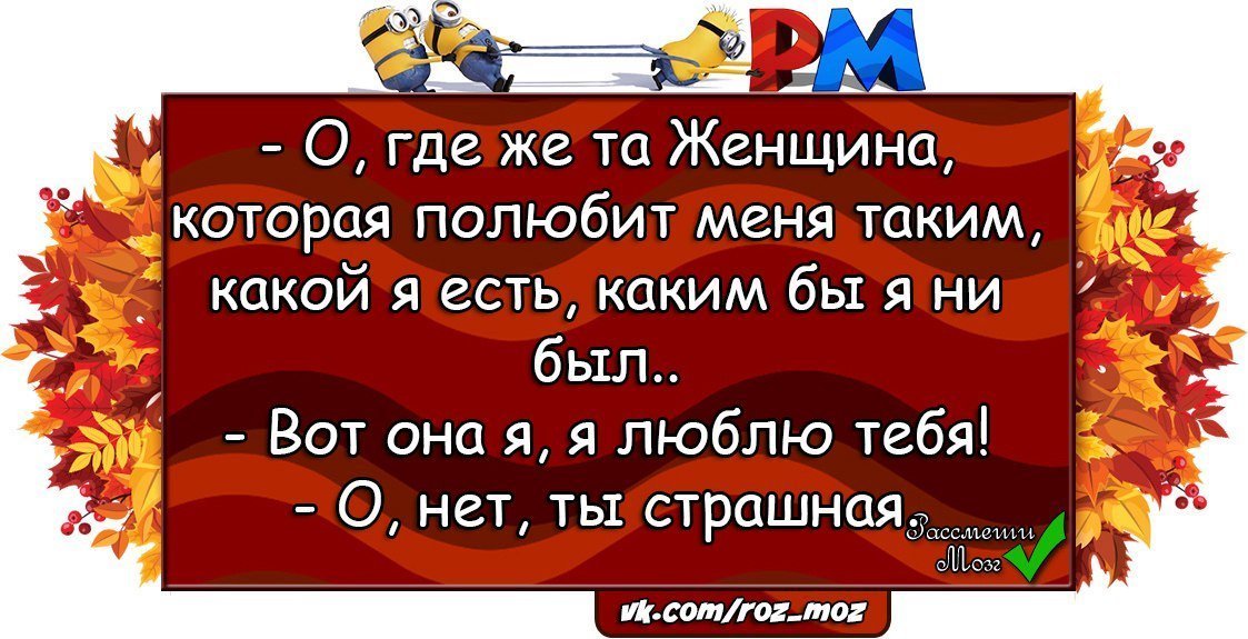 Анекдоты дня