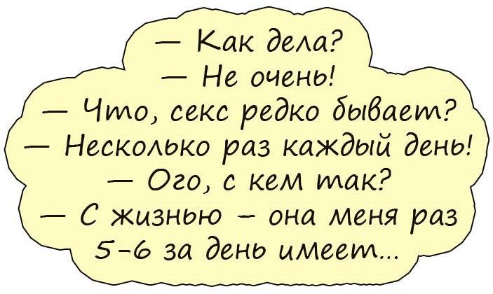 Анекдоты дня