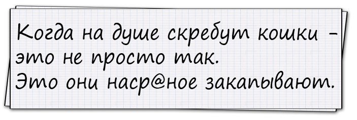 Крутые анекдоты