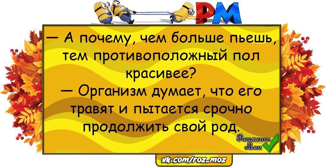 Хорошие анекдоты