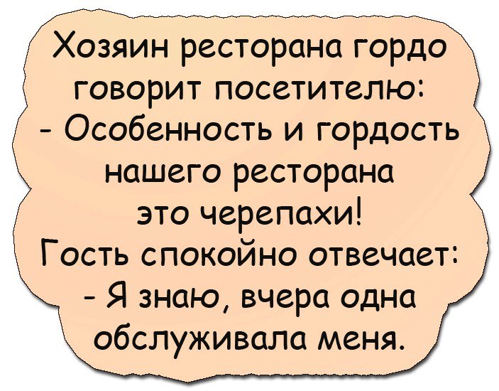 Анекдоты дня