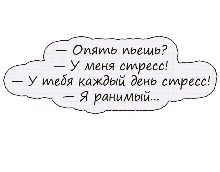 Анекдоты дня