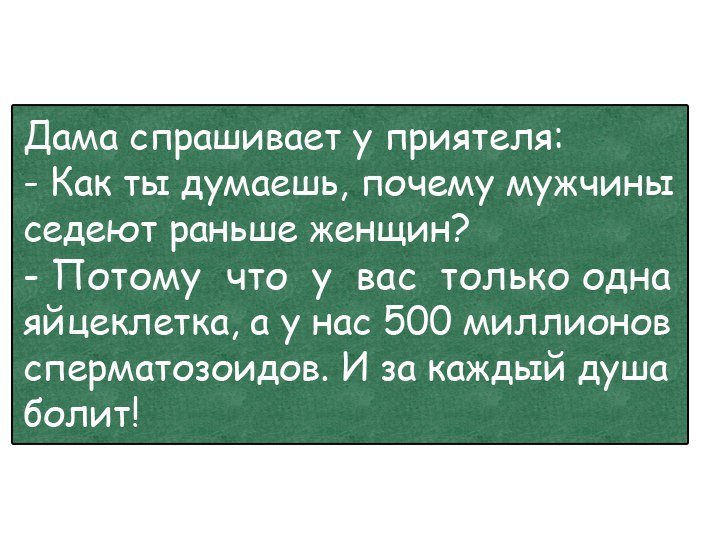 Анекдоты дня