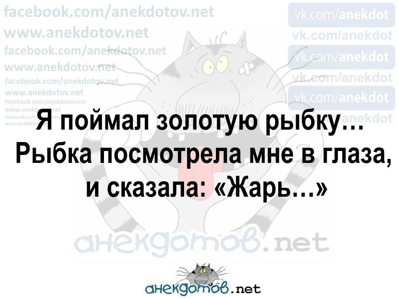 Лучшие анекдоты
