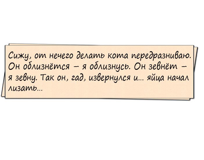Анекдоты дня